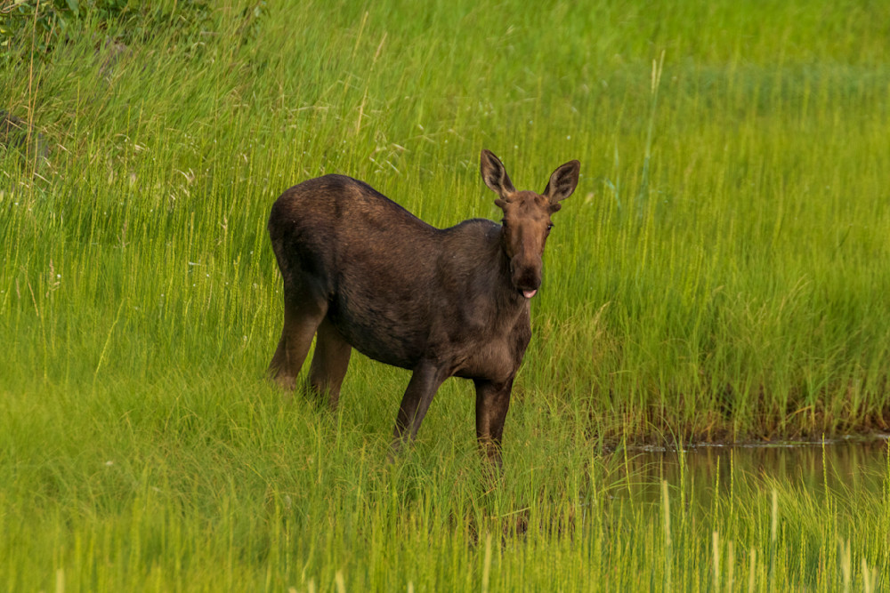 S00 A7481 Photography Art | Captured Adventure Photography