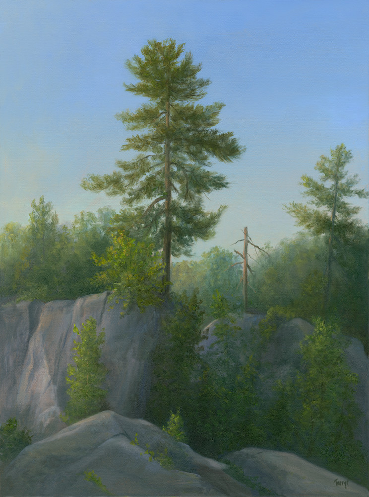 *Tree Portrait, John Burroughs Nature Sanctuary Art | Tarryl Fine Art