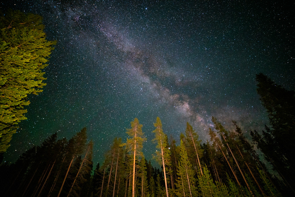 Milk Way Galaxy Over Trees In Yellowstone National Park Photography Art | Christopher Scott Photography