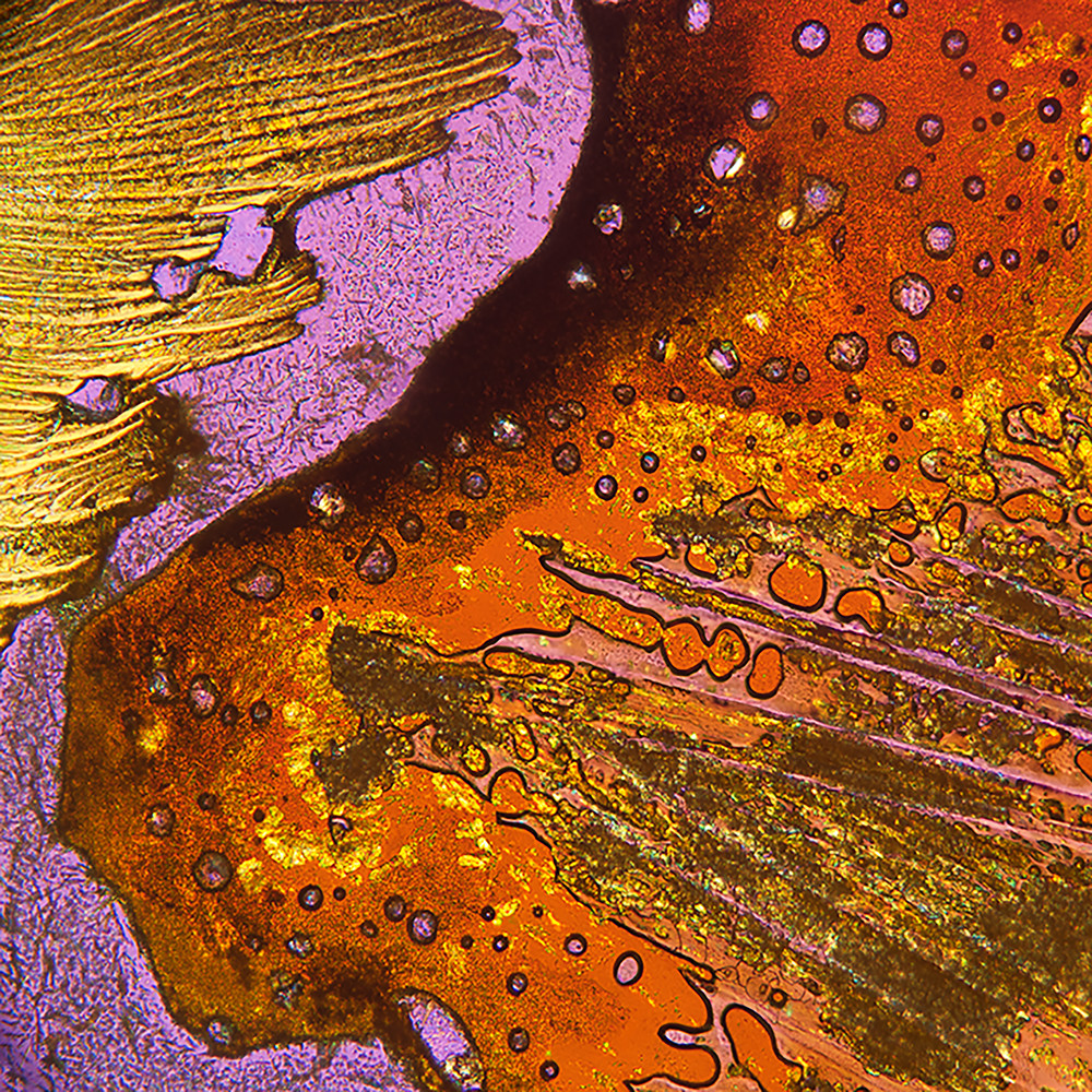Lavender Swirl (Benzoic Acid + Benzidine Crystals) Art | Carol Roullard Art Lavender Swirl (Benzoic Acid + Benzidine Crystals) Art | Carol Roullard Art
