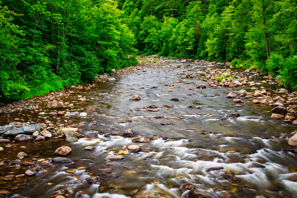 Morning on the Saranac River Adirondack Mountains fineart