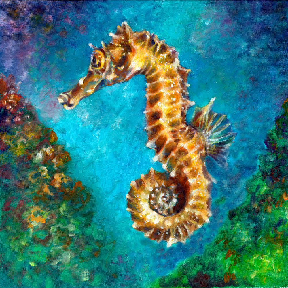 Seahorse Ii Art | Nancy Tilles