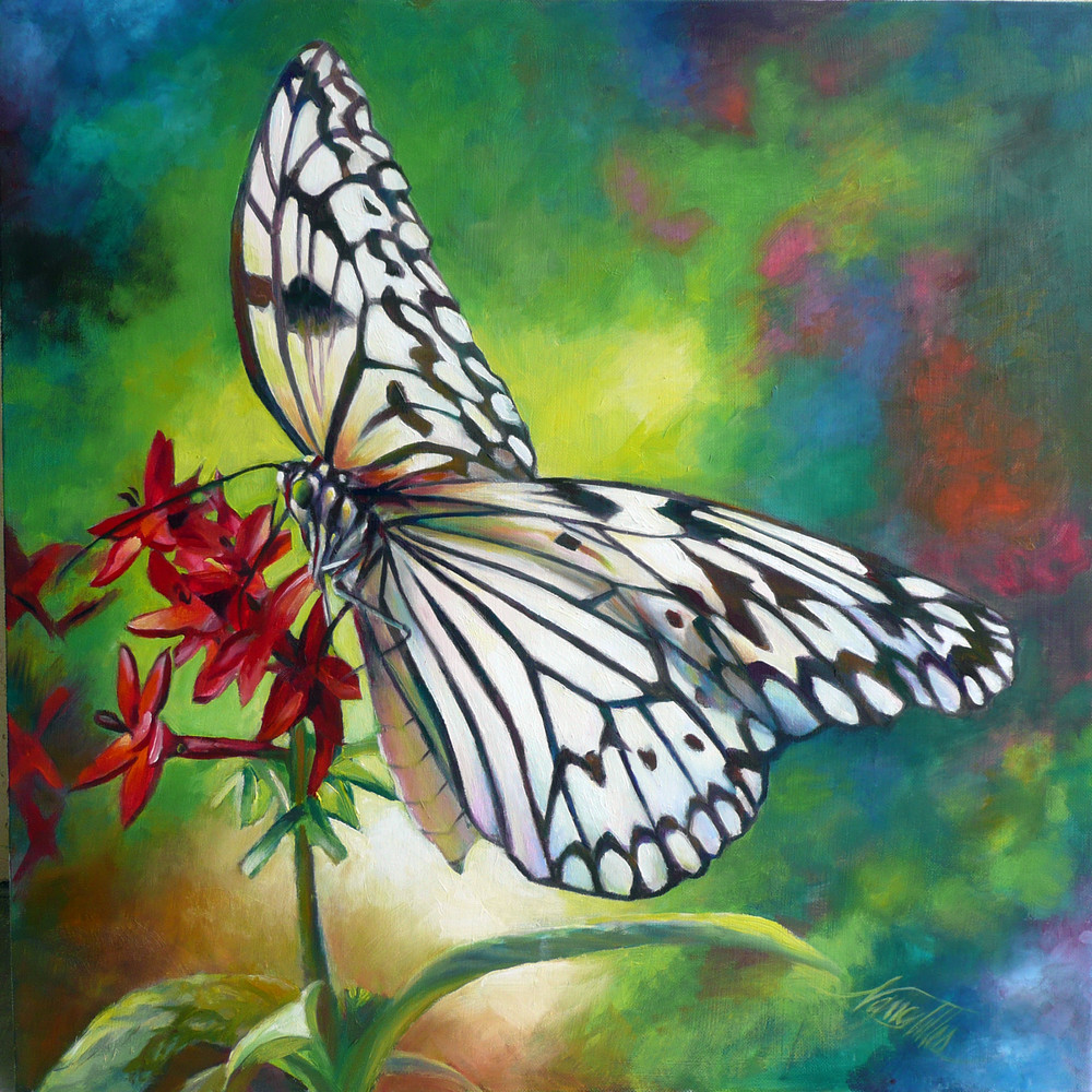 163 Idea Leuconoe Butterfly Art | Nancy Tilles