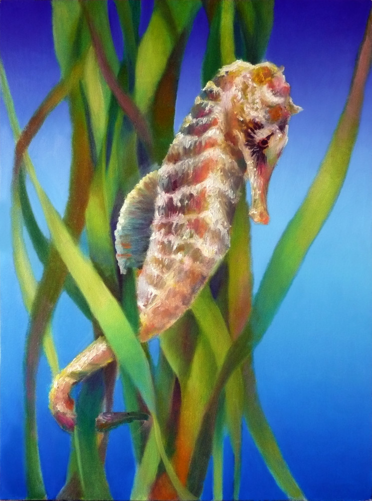 Seahorse In The Reeds I Art | Nancy Tilles