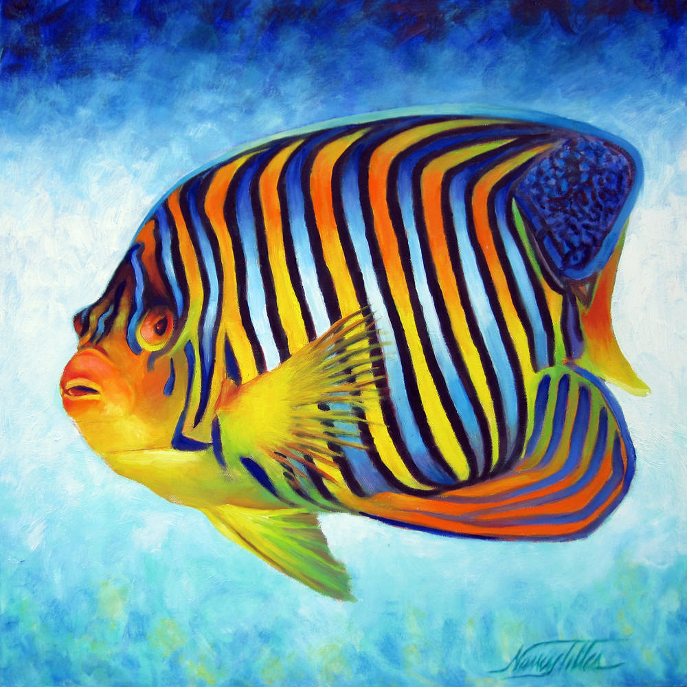 Royal Angelfish Art | Nancy Tilles