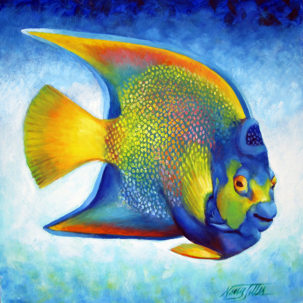 Queen Angelfish Art | Nancy Tilles