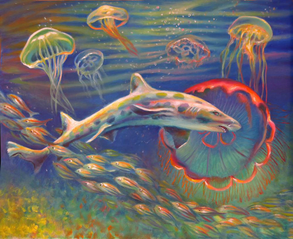 Leopard Shark And Jellyfish Art | Nancy Tilles