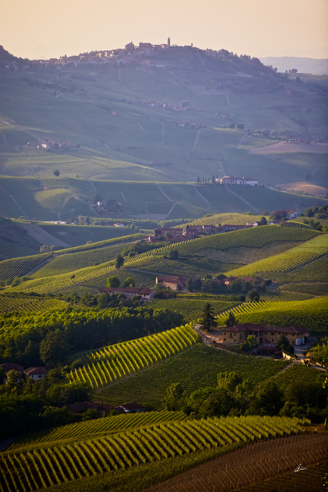 Montforte D' Alba, Italy, Barolo Wine Photography Art | Audia Art