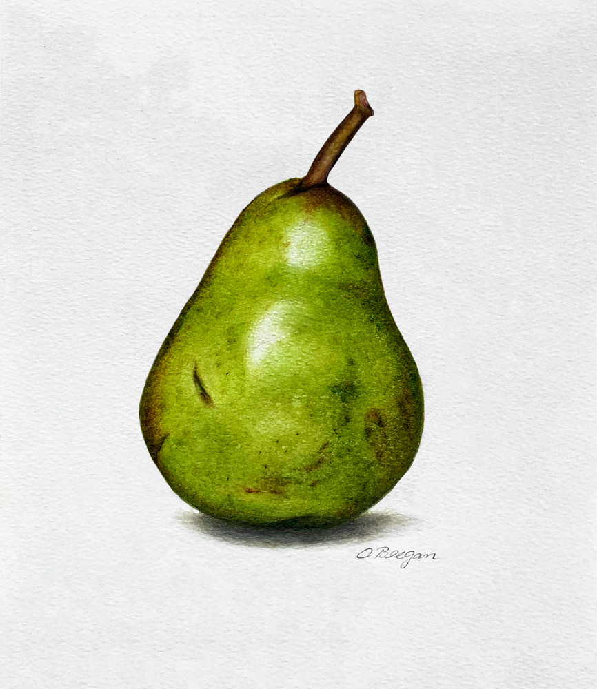 Scratched Pear No. 1, 2020, Coloured Pencil Drawing by artist Carolyn A. Beegan