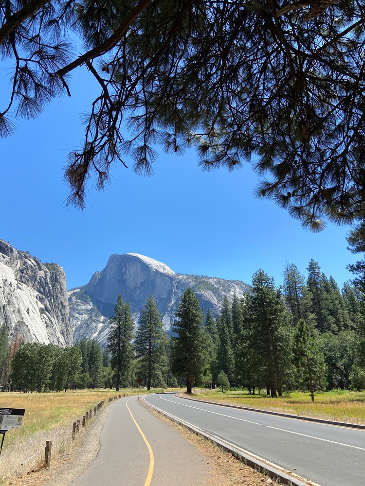 Road Trip Yosemite National Park Art | Coat Of Many Colors Road Trip Yosemite National Park Art | Coat Of Many Colors