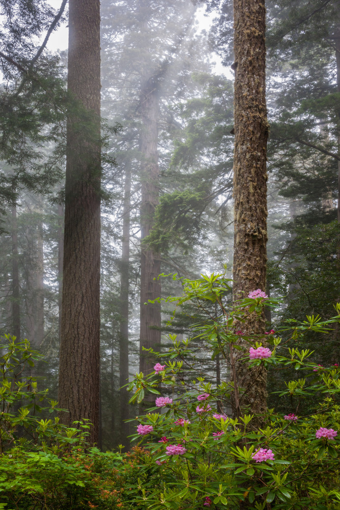 Tranquility Photography Art | Ken Smith Gallery Tranquility Photography Art | Ken Smith Gallery