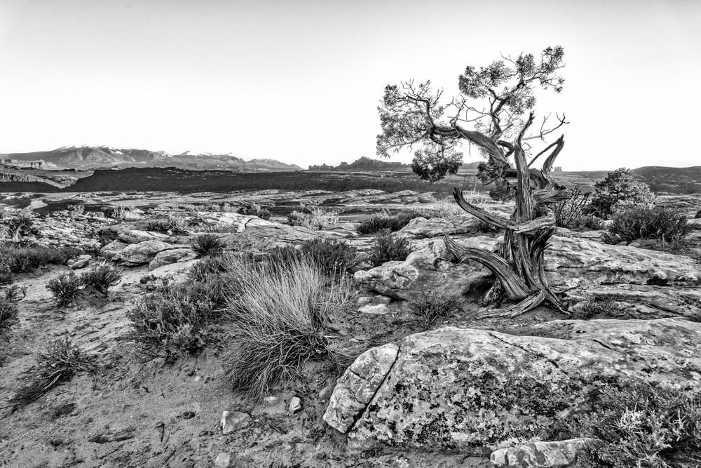 Alone in the Desert - Arches National Park fine-art photography prints