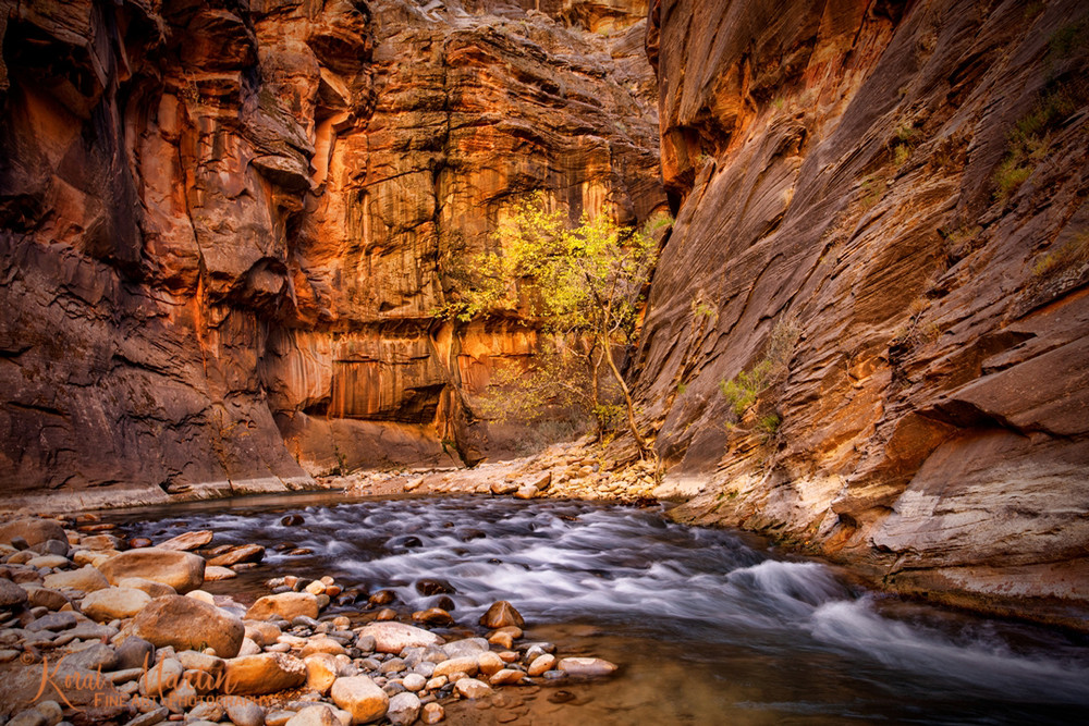 Narrows Water Fall Trees2892  Photography Art | Koral Martin Healthcare Art