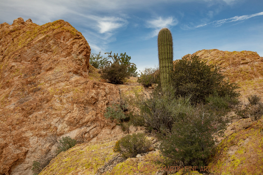  Apache Trail View 2366   Photography Art | Koral Martin Healthcare Art