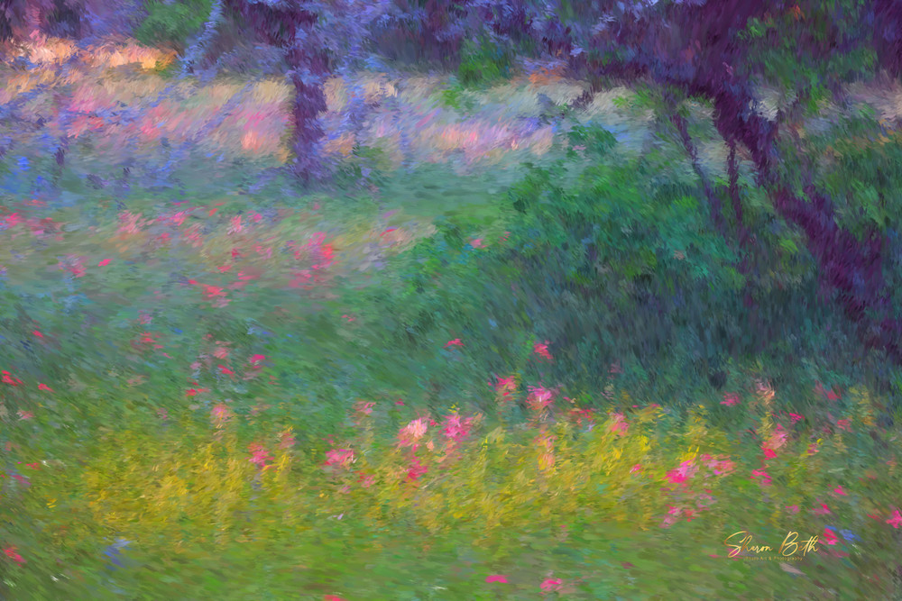 Texas Flower Meadow Art | Sharon Beth 