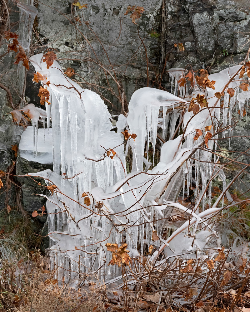 Heron Ice Sculpture, ice, janetogren.com