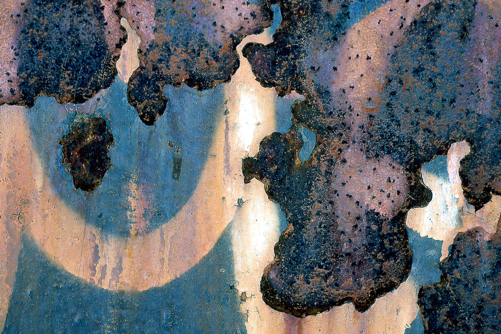 Close-Up Rusty Manhattan Wonder Print - Sherry Mills