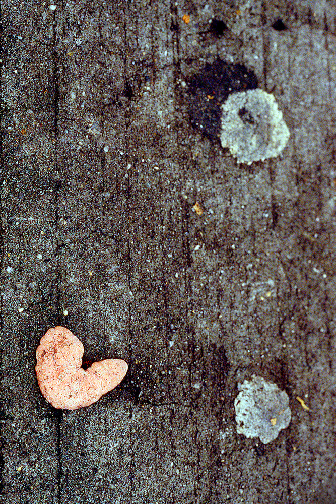 Gum Heart Abstract Brooklyn Sidewalk Print – Sherry Mills Gum Heart Abstract Brooklyn Sidewalk Print – Sherry Mills