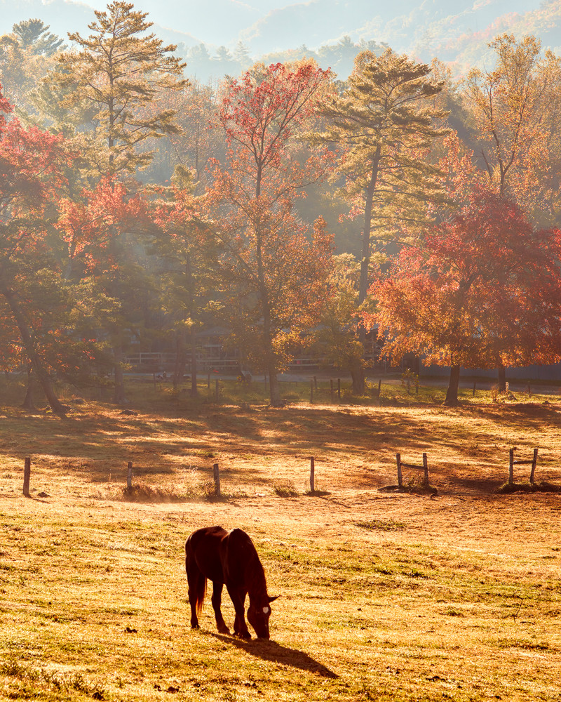 Dawn at Cades Cove Stables