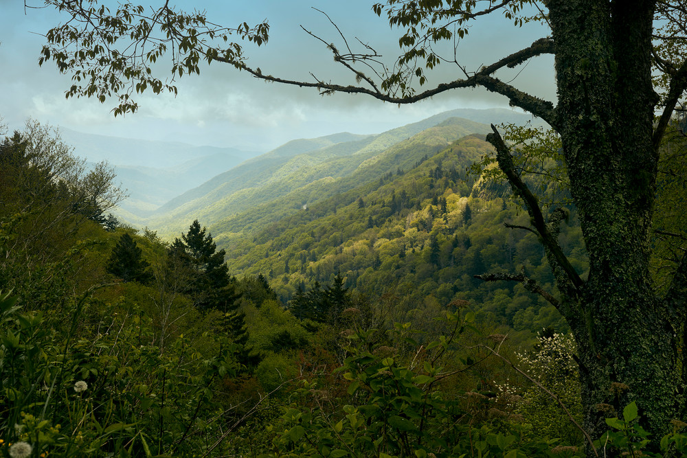 Clingman's Country