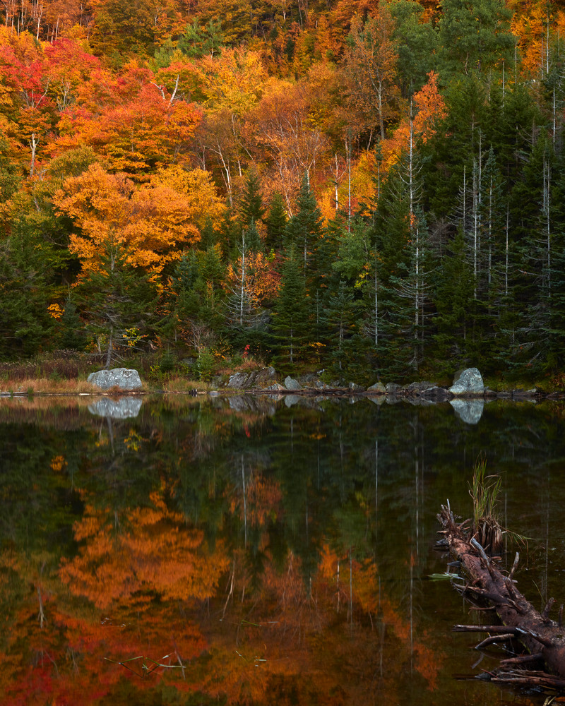 Vermont Chamberlain Glen