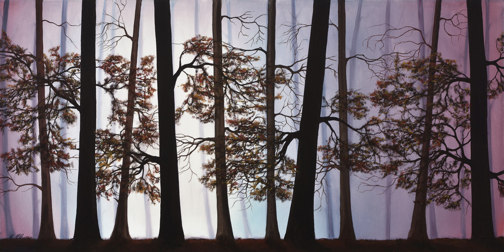 Misty Forest Art | MMG Art Studio | Fine Art Colorado Gallery Misty Forest Art | MMG Art Studio | Fine Art Colorado Gallery