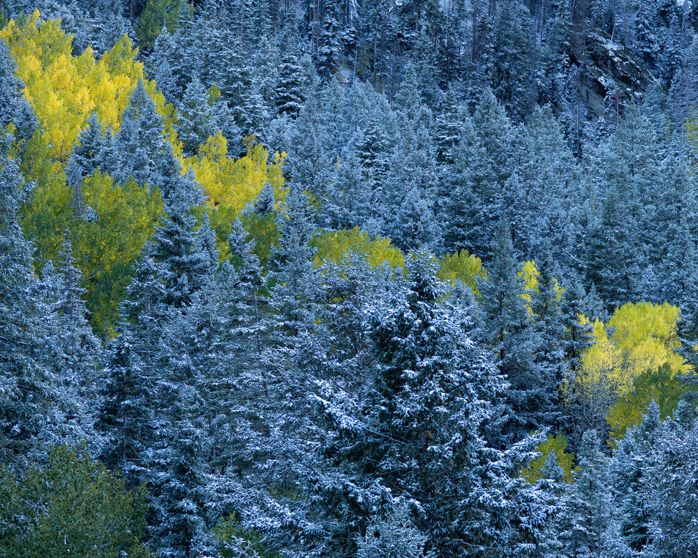 Silver Gulch