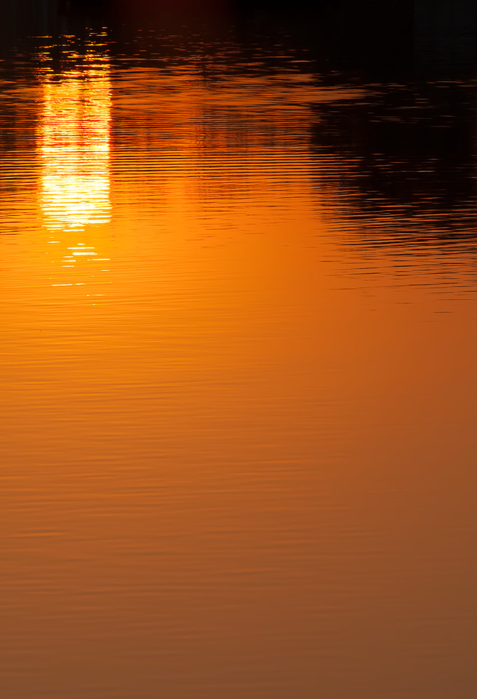 Marsh Sunrise Photography Art | Lisette Ranga Photography