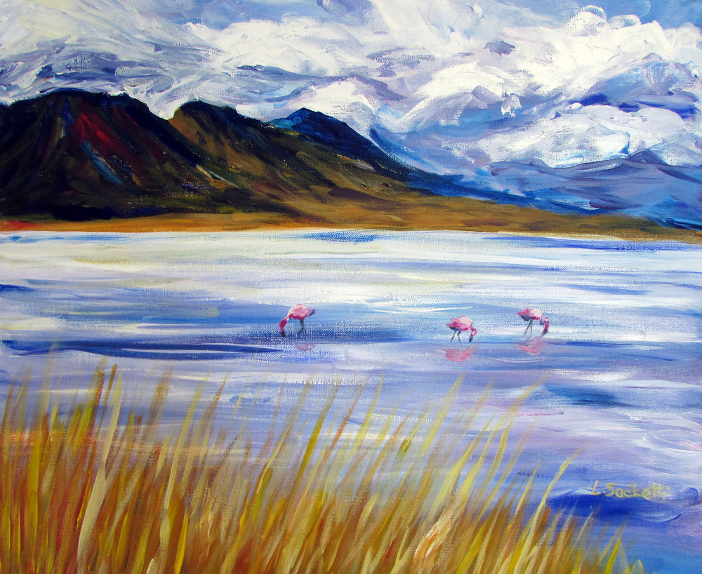 Flamingos having Lunch, Bolivia, fine art prints and merchandise | Linda Sacketti