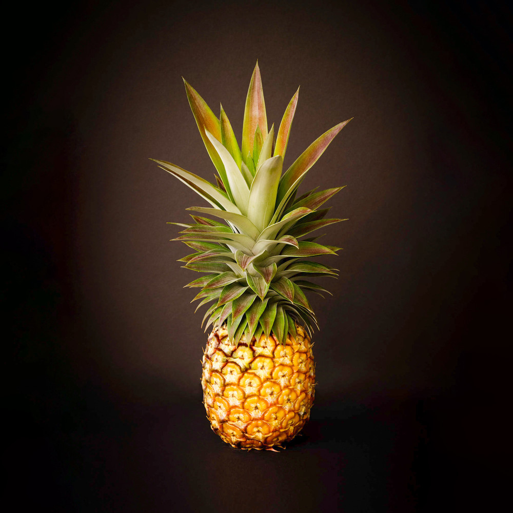 White Pineapple King Square Photography Art | Bird In Paradise