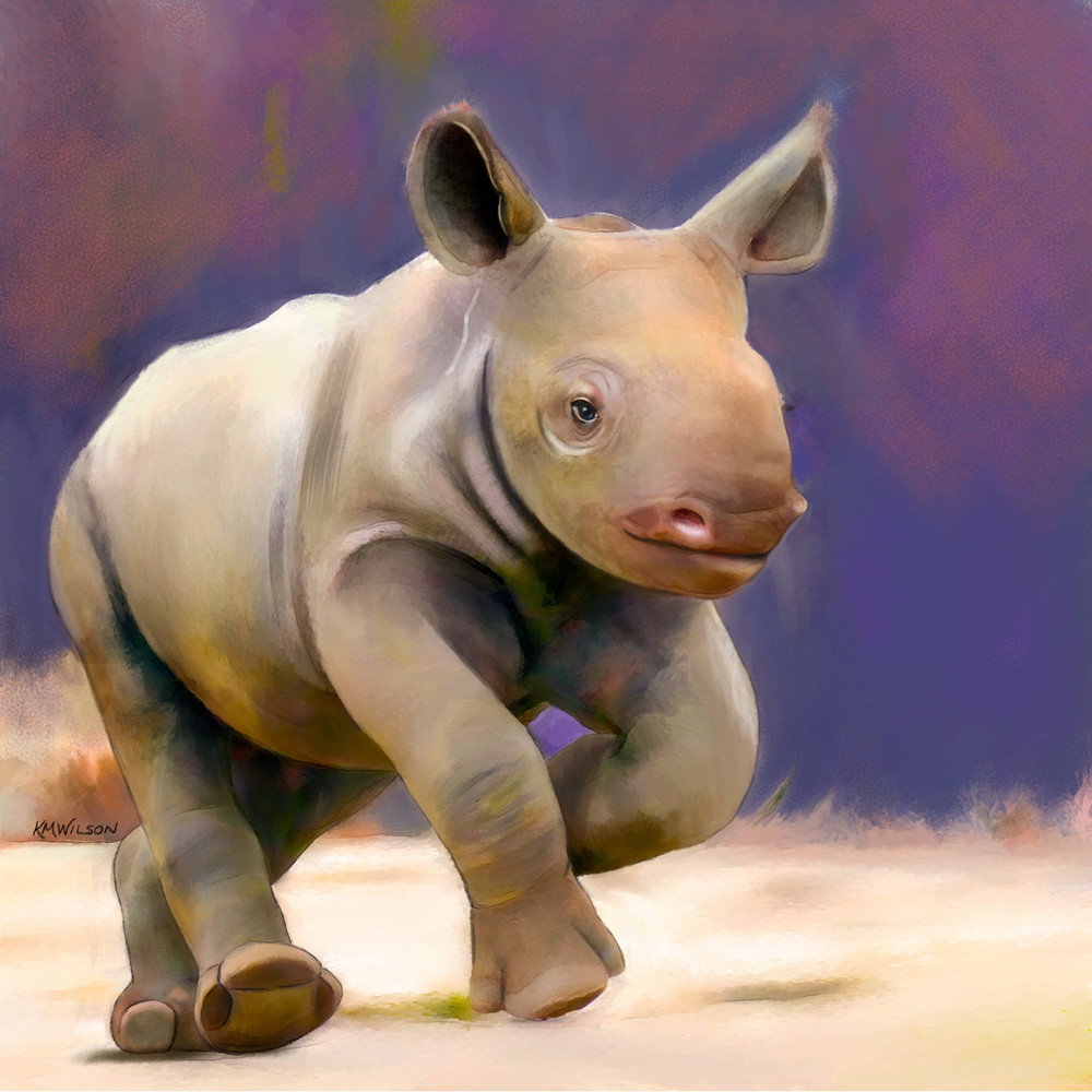 Boomer the Baby Rhino
