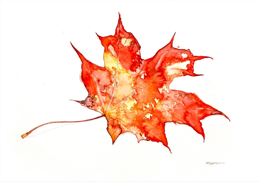 Autumn Leaf Art | DK Betts Works Art