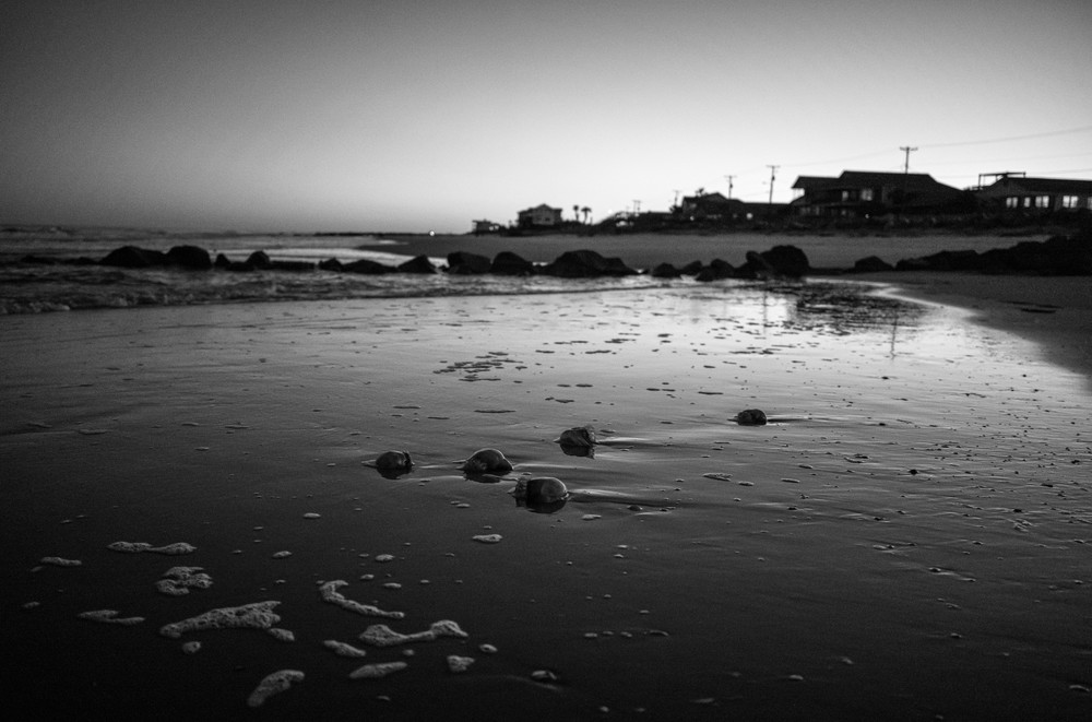 Littered Cannonballs