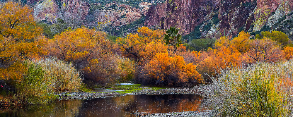 Salt River Cotton