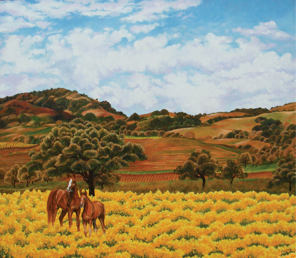 Old Sonoma And Horses   Print Art | Mercedes Fine Art