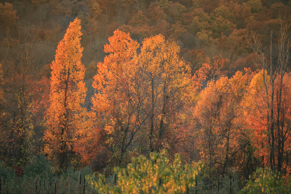 Hudson valley autumn