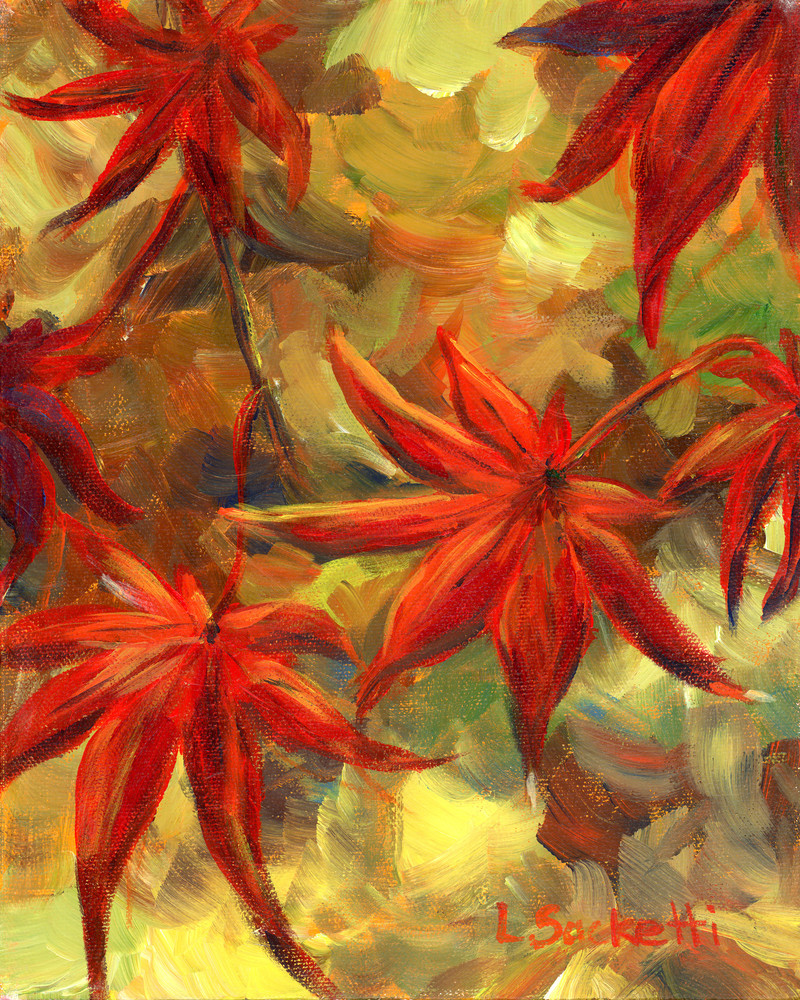Japanese Maple Leaves fine-art prints and merchandise | Linda Sacketti