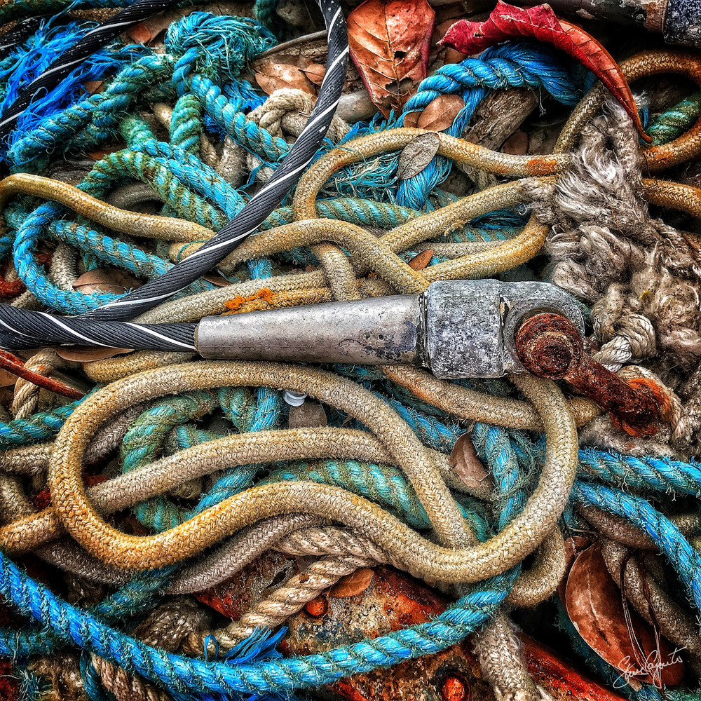 tangled up in blue