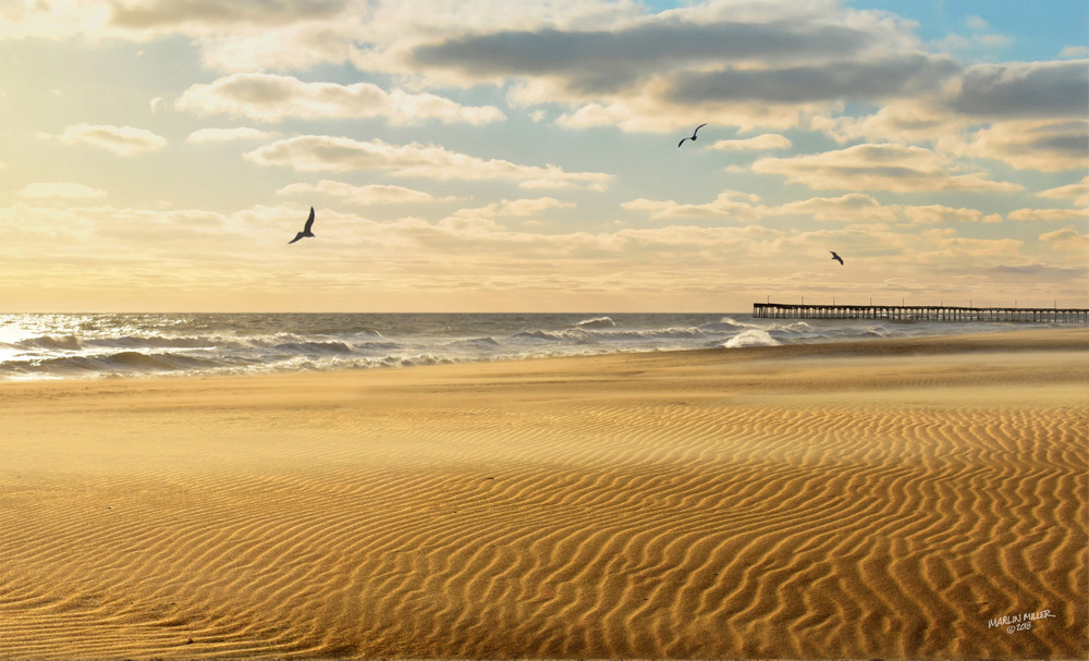 Windy Beach Art | lemonstreetstudio