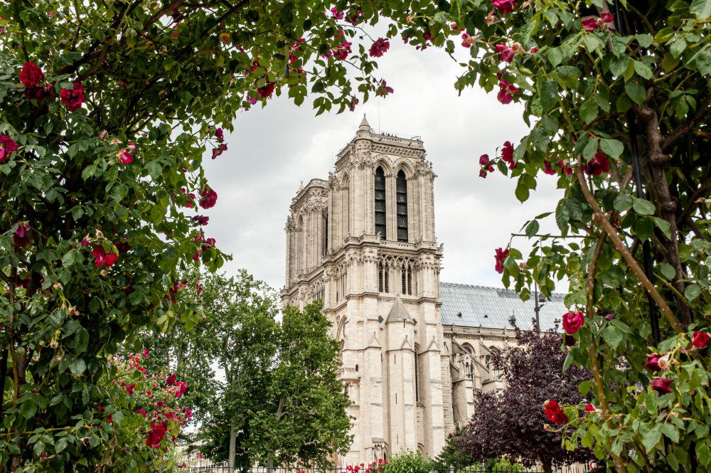 Notre Dame Photography Art | Kim Bova Photography
