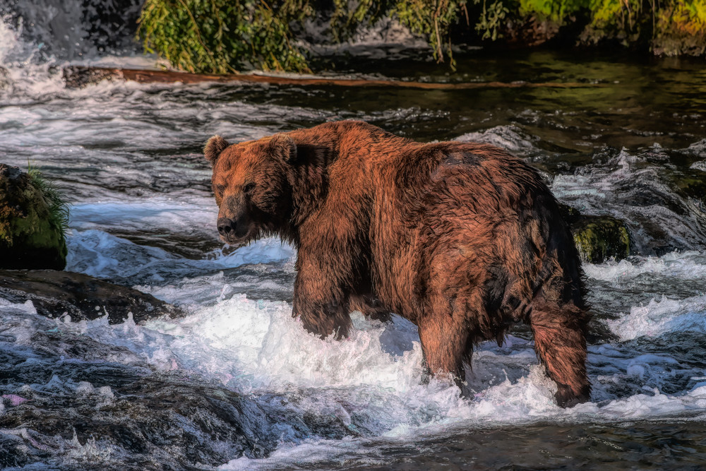 My Fishing Spot Not Yours Art | Keith Taylor Photography
