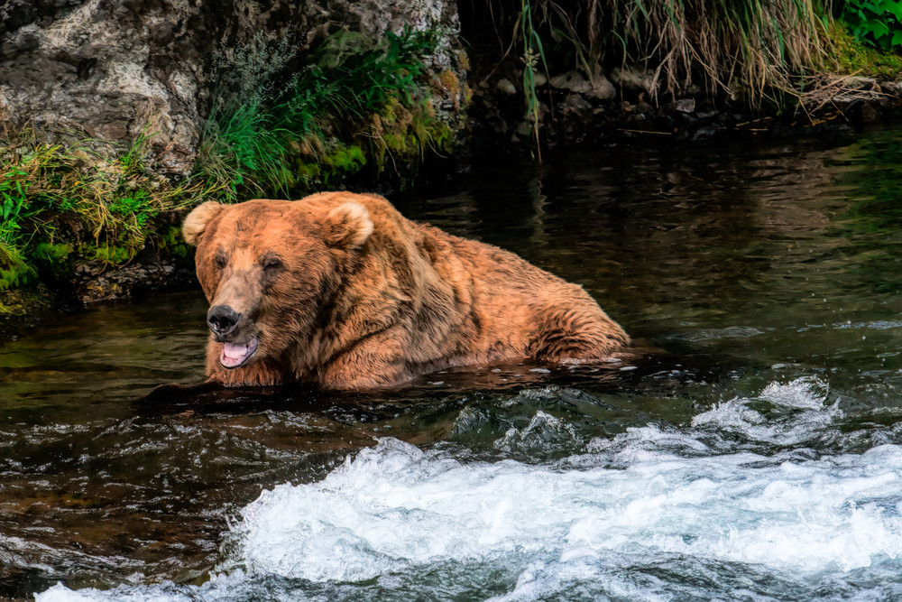 A Day At The Office Art | Keith Taylor Photography