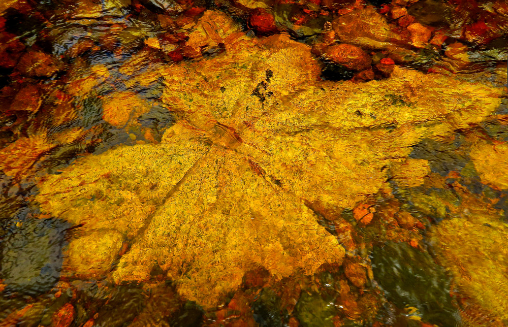 Granite Angel Photography Art | Roger Merchant, Place-based Photographer