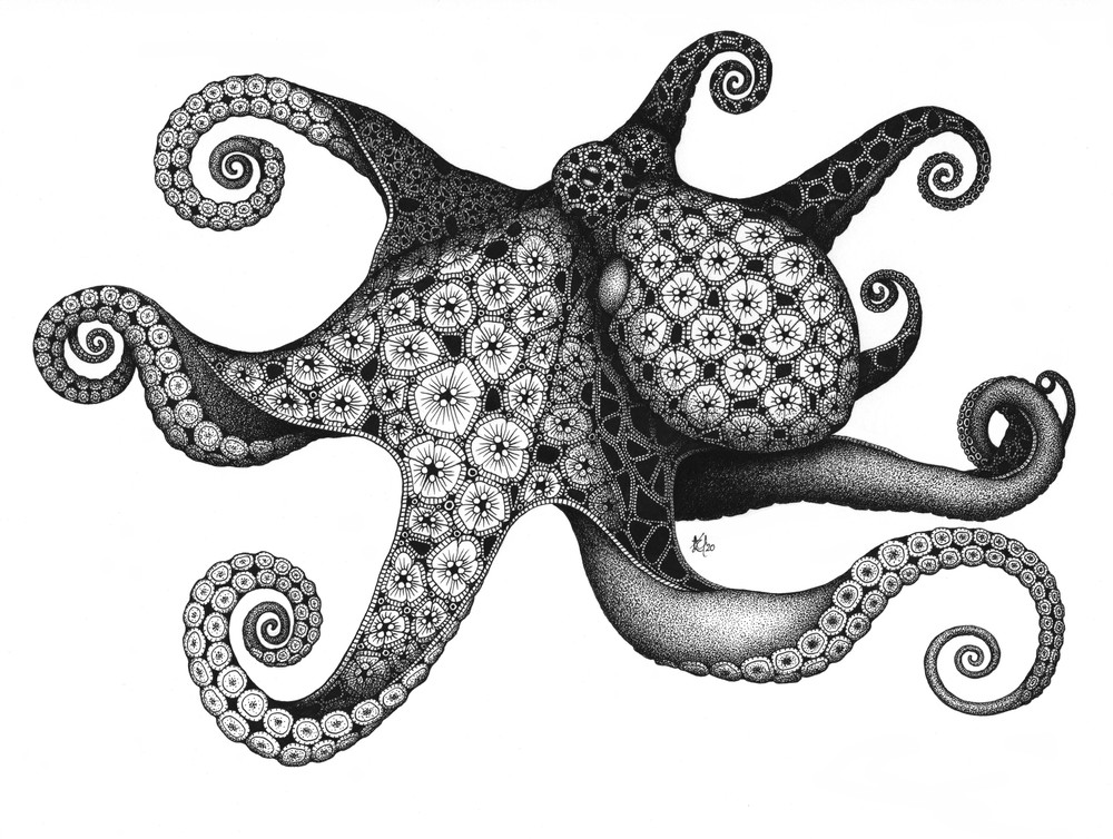 Octopus Art | Kristin Moger "Seriously Fun Art"