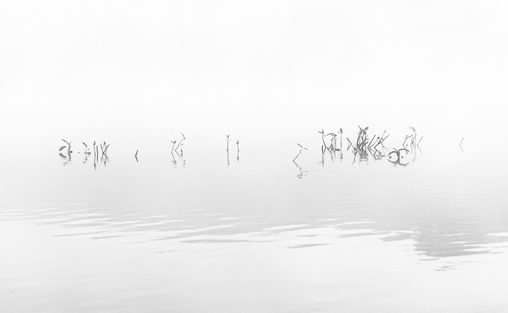 Zen - Black and White early morning reflection on water in Northern California photograph Zen - Black and White early morning reflection on water in Northern California photograph