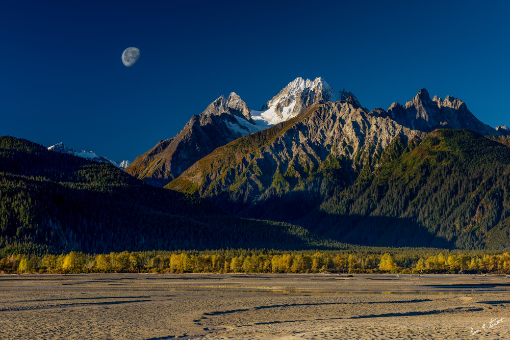 Sunrise Moonset On The Chilkat Art | Alaska Wild Bear Photography