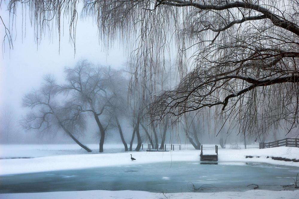 "Winter Dream" Photography Art | Inspired Imagez 