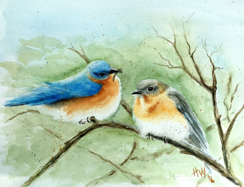 Bluebird Couple Art | Holly Whiting Art Bluebird Couple Art | Holly Whiting Art