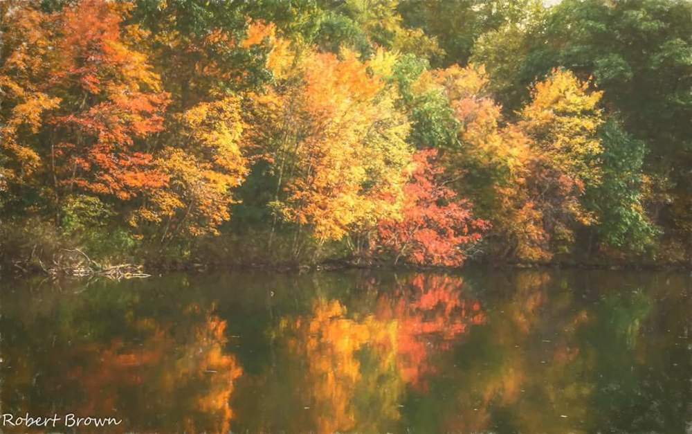"Fall On Lake Redman" Photography Art | Inspired Imagez 