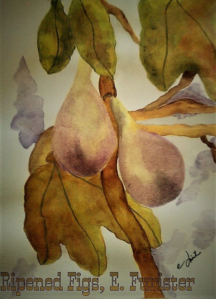 Purple, Figs, watercolor